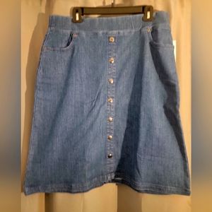 Appleseed's ALine Denim Skirt